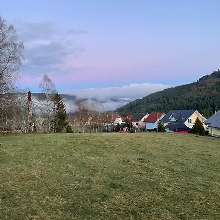 Lejlighed Troendles Ferienwohnung St. Blasien