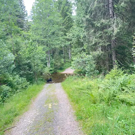 Troendles Ferienwohnung *