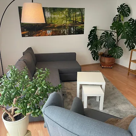Lejlighed Troendles Ferienwohnung St. Blasien